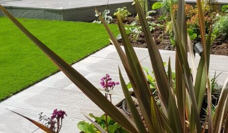 back garden with architectural planting and patios and paths made with ivory porcelain paving