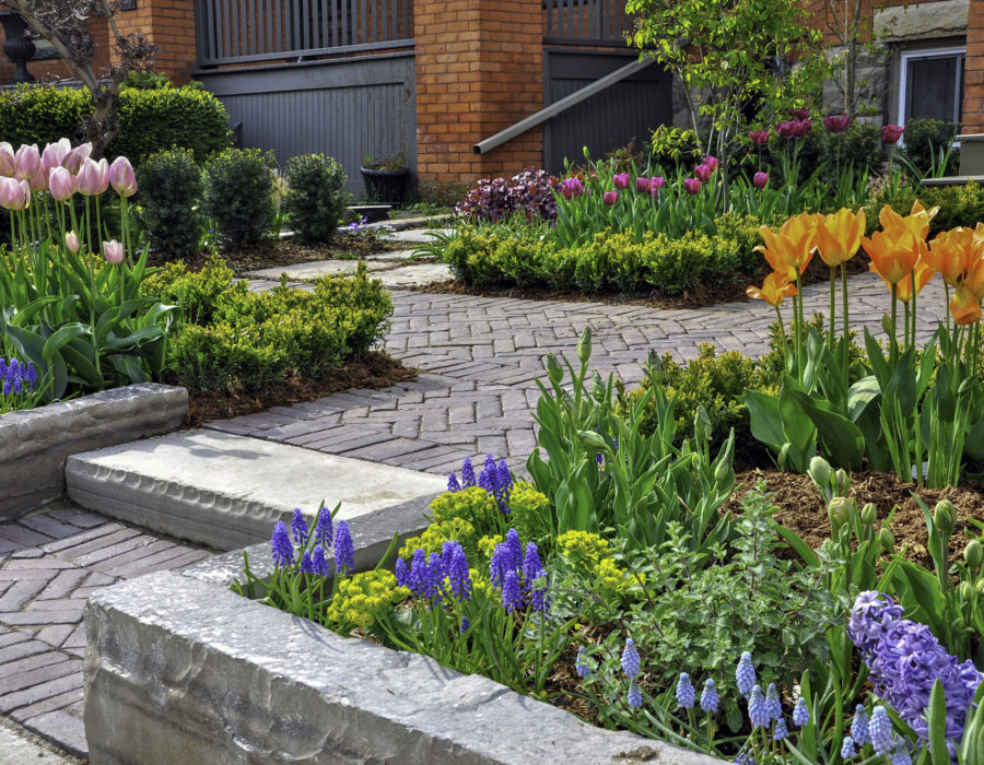 front garden design with spring bulbs and interesting paving