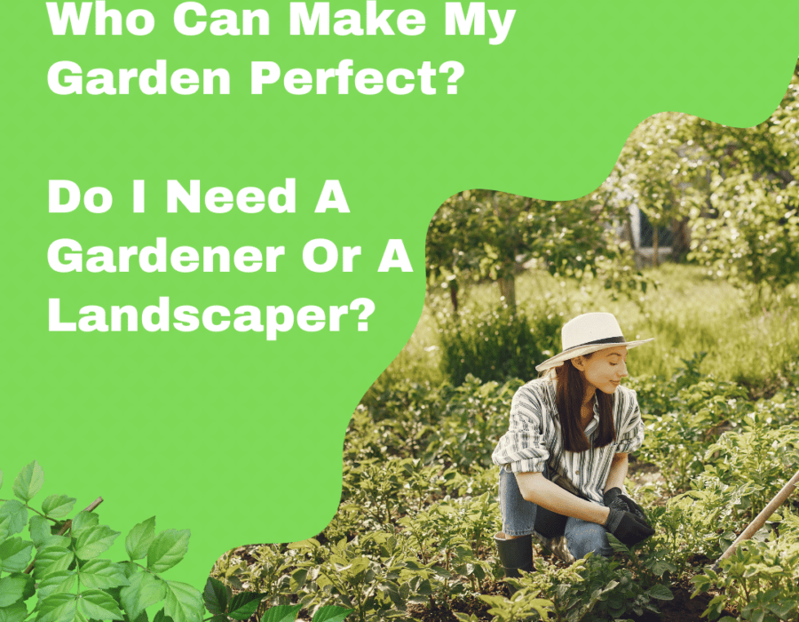 Do I need a landscaper or a gardener?